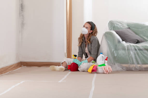 Reliable Mold Cleanup contractor in West Orange, TX by Cheap Mold Removal